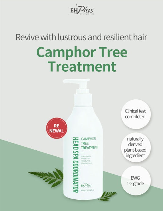 EHPlus Camphor Tree Treatment