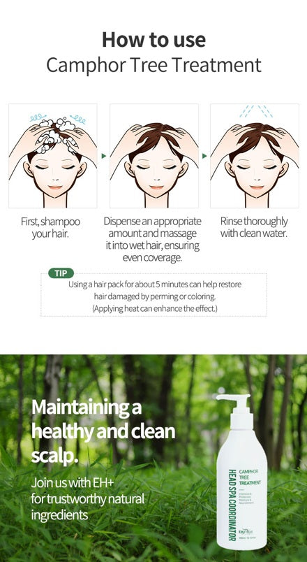 EHPlus Camphor Tree Treatment