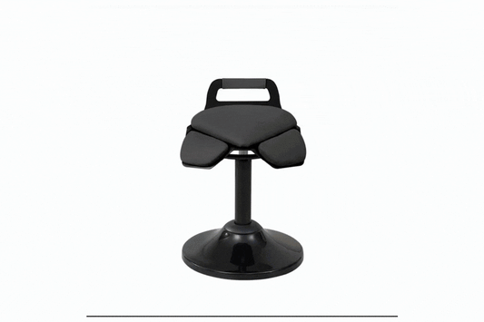 ERGO Saddle Swing Stool