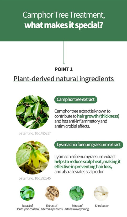 EHPlus Camphor Tree Treatment
