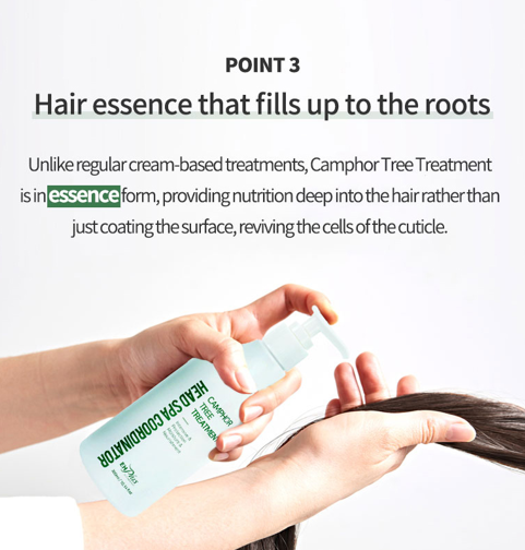 EHPlus Camphor Tree Treatment