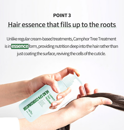 EHPlus Camphor Tree Treatment