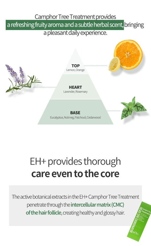 EHPlus Camphor Tree Treatment