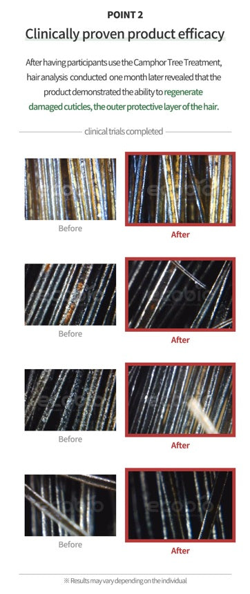 EHPlus Camphor Tree Treatment