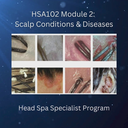 HSA100: Head Spa Specialist